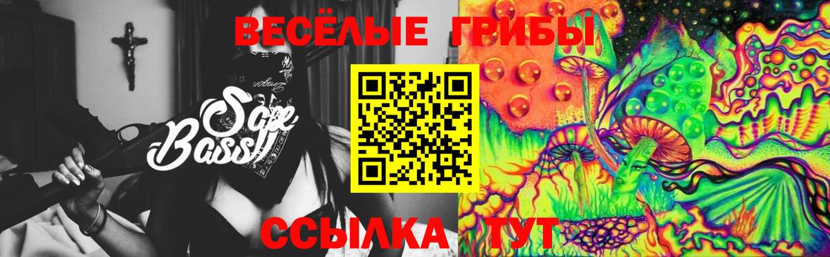 Галлюциногенные грибы Psilocybine cubensis Лениногорск